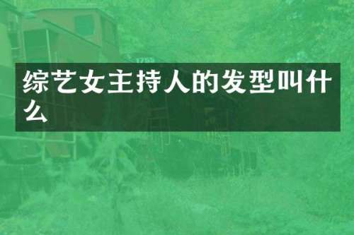 综艺女主持人的发型叫什么
