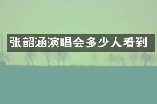 张韶涵演唱会多少人看到