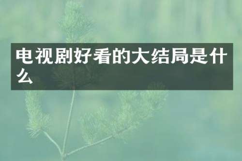 电视剧好看的大结局是什么