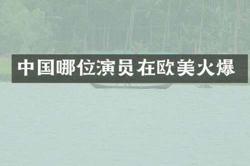 中国哪位演员在欧美火爆