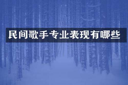 民间歌手专业表现有哪些