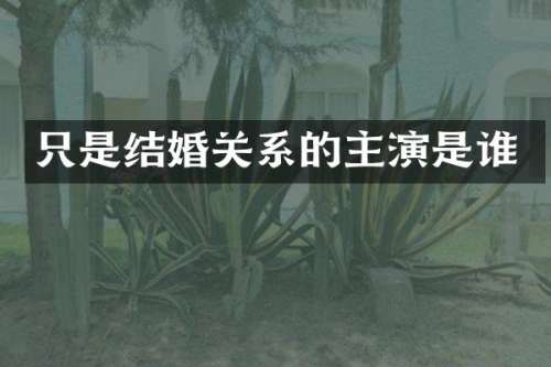 只是结婚关系的主演是谁