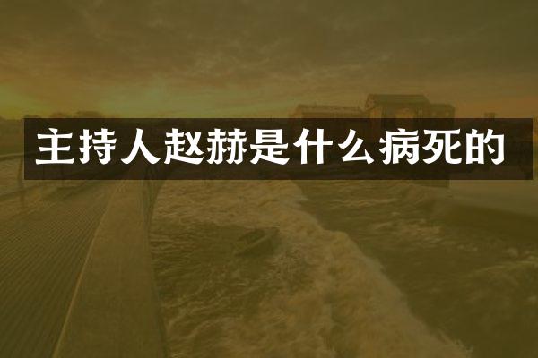 主持人赵赫是什么病死的