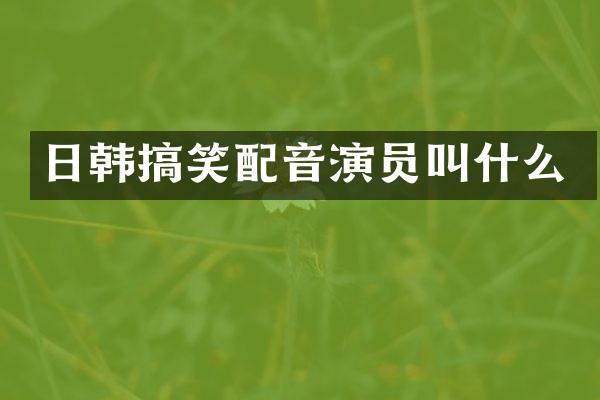 日韩搞笑配音演员叫什么