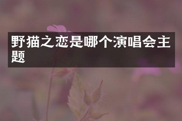 野猫之恋是哪个演唱会主题