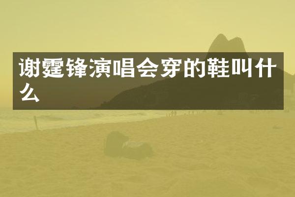 谢霆锋演唱会穿的鞋叫什么