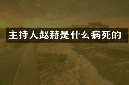 主持人赵赫是什么病死的