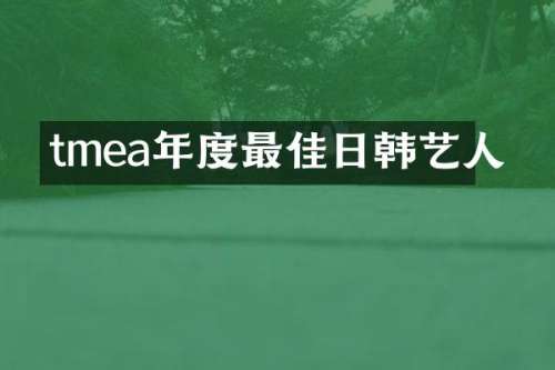 tmea年度最佳日韩艺人