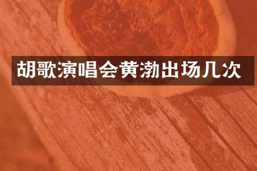 胡歌演唱会黄渤出场几次