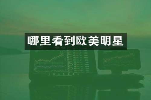 哪里看到欧美明星