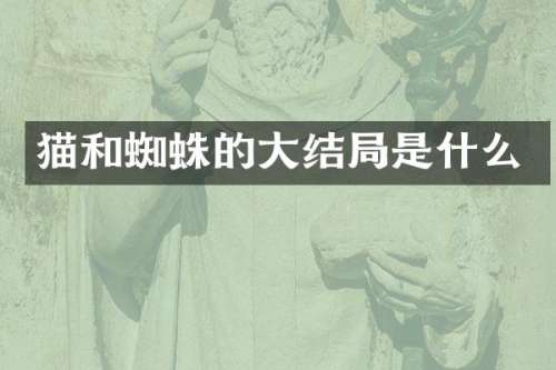 猫和蜘蛛的大结局是什么