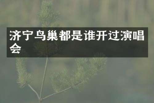 济宁鸟巢都是谁开过演唱会