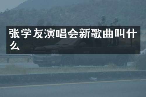张学友演唱会新歌曲叫什么