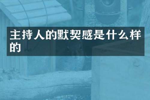 主持人的默契感是什么样的