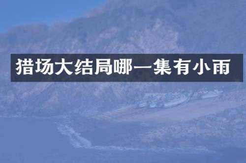 猎场大结局哪一集有小雨
