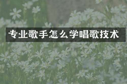 专业歌手怎么学唱歌技术