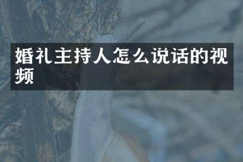 婚礼主持人怎么说话的视频