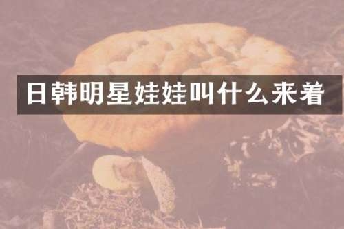 日韩明星娃娃叫什么来着