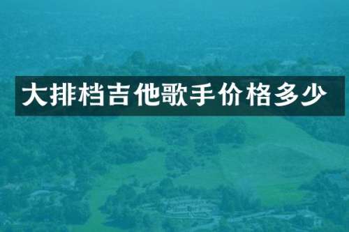 大排档吉他歌手价格多少