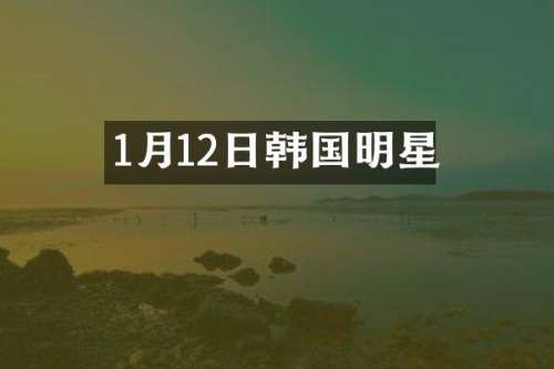 1月12日韩国明星
