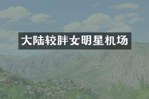 大陆较胖女明星机场