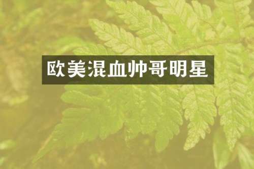 欧美混血帅哥明星