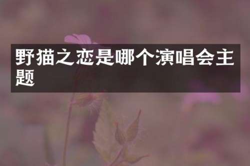 野猫之恋是哪个演唱会主题