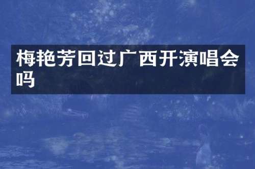 梅艳芳回过广西开演唱会吗