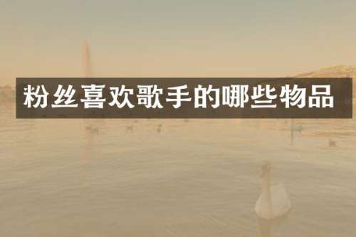粉丝喜欢歌手的哪些物品