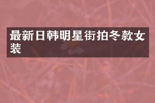 最新日韩明星街拍冬款女装