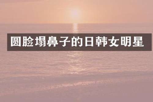 圆脸塌鼻子的日韩女明星