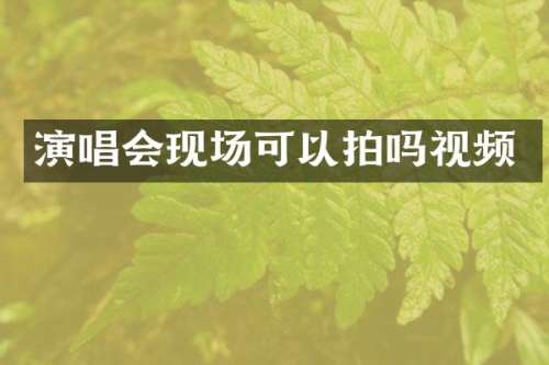 演唱会现场可以拍吗视频