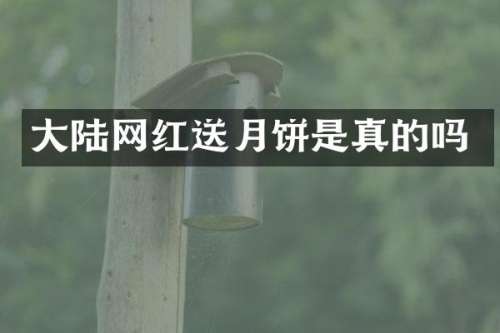 大陆网红送月饼是真的吗