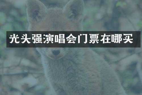 光头强演唱会门票在哪买