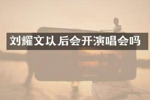 刘耀文以后会开演唱会吗