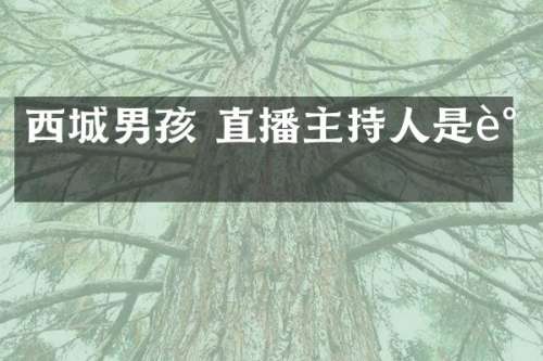 西城男孩 直播主持人是谁