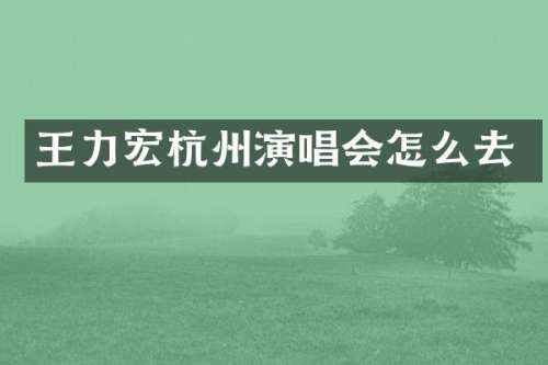王力宏杭州演唱会怎么去