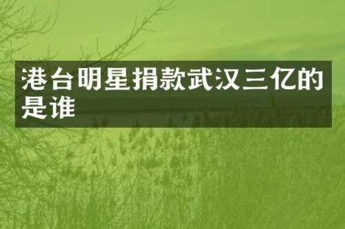 港台明星捐款武汉三亿的是谁