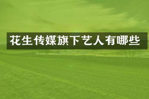 花生传媒旗下艺人有哪些