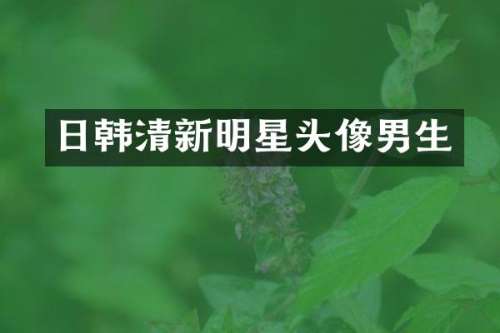 日韩清新明星头像男生