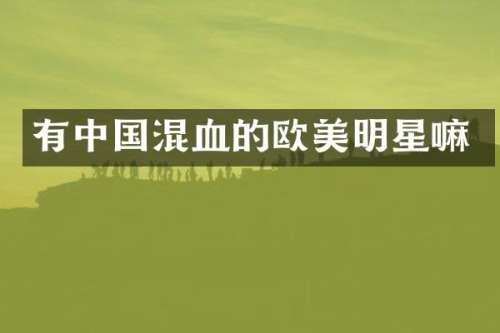 有中国混血的欧美明星嘛