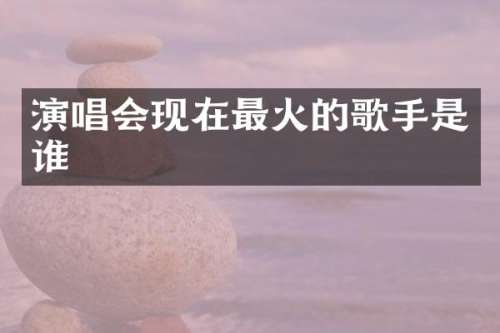 演唱会现在最火的歌手是谁