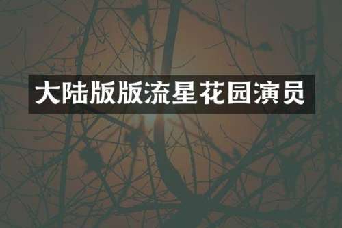 大陆版版流星花园演员