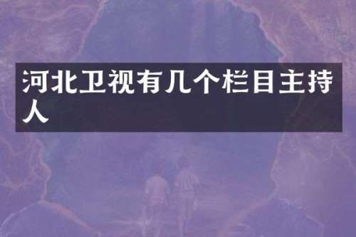 河北卫视有几个栏目主持人