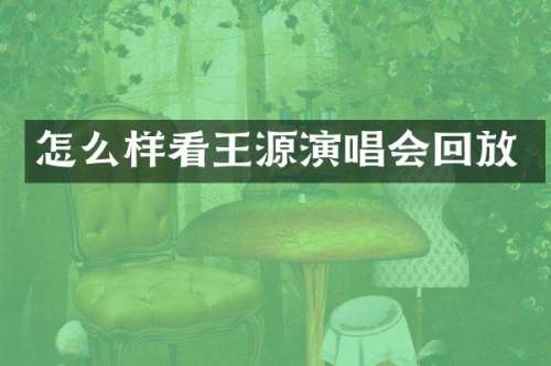 怎么样看王源演唱会回放