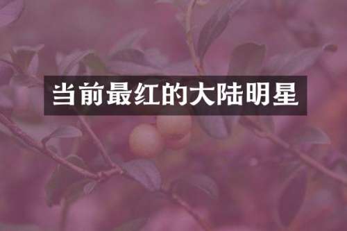 当前最红的大陆明星