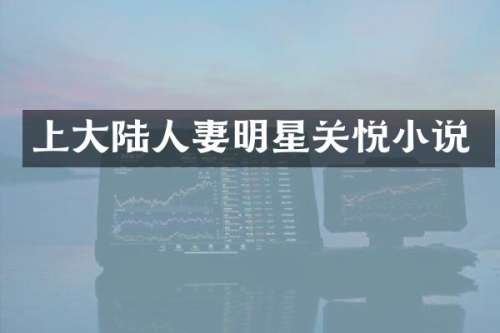 上大陆明星关悦小说