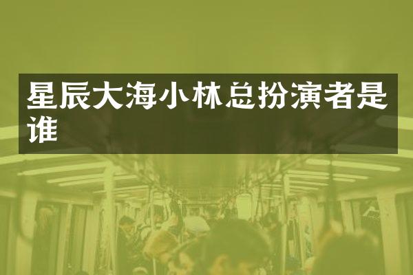 星辰大海小林总扮演者是谁