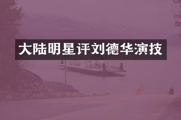 大陆明星评刘德华演技