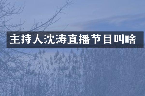 主持人沈涛直播节目叫啥